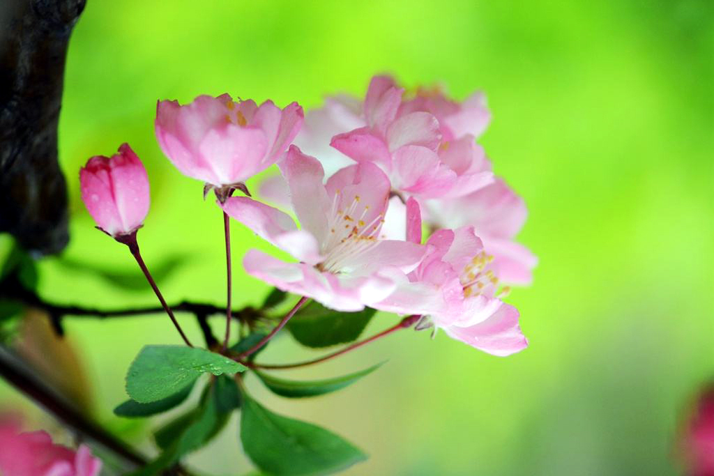 02f9341e7ba34d039875898978eb8d4b